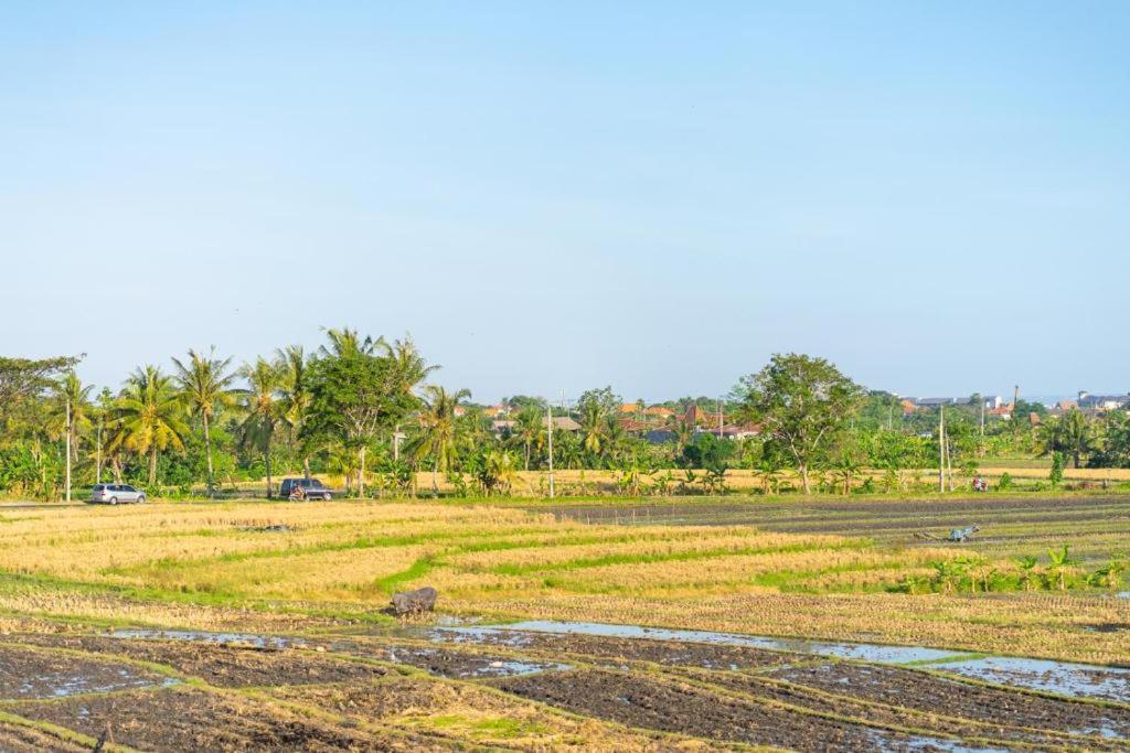 Pondok Lulik Seseh Beach Munggu Exteriér fotografie